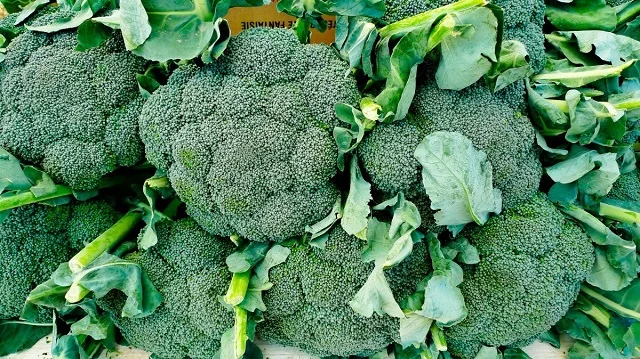 
Healthy high quality organic bulk broccoli fresh 