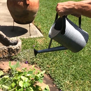 Cesun 1 Galon оцинкованная цинковая металлическая Лейка для улицы винтажная Старинная Мода