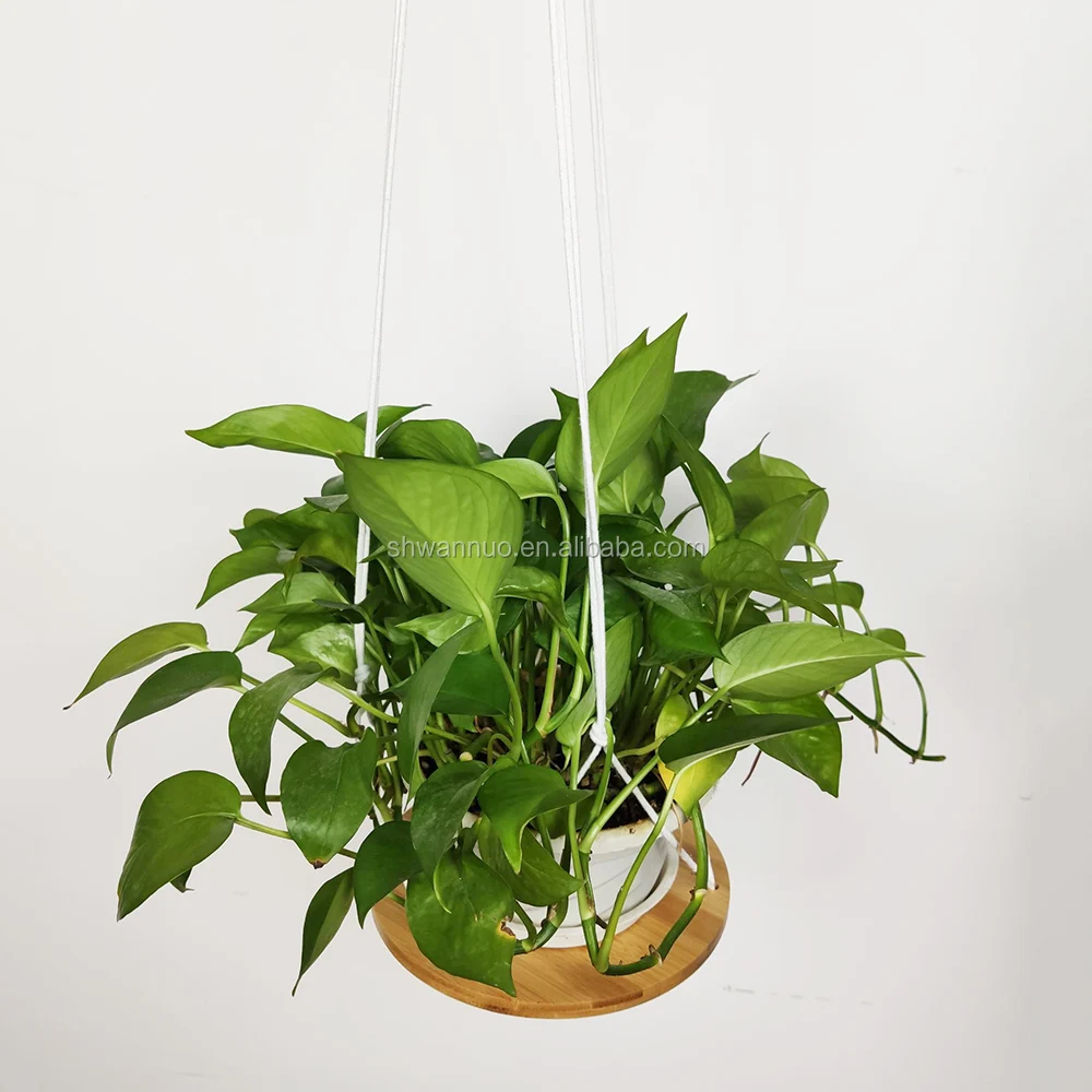 Wanuocraft Home Decor Macrame Plant Hanger Shelf Hanging Planter Custom Bamboo Flower Shelf