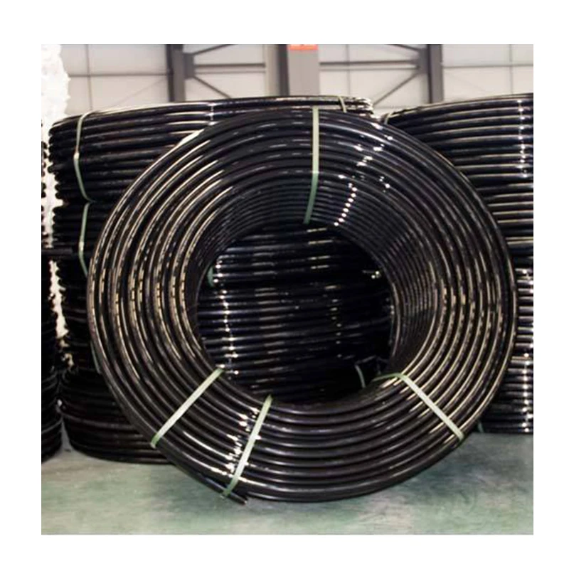 Hot selling 1 inch 2 inch 4 inch black plastic pe roll water pipe