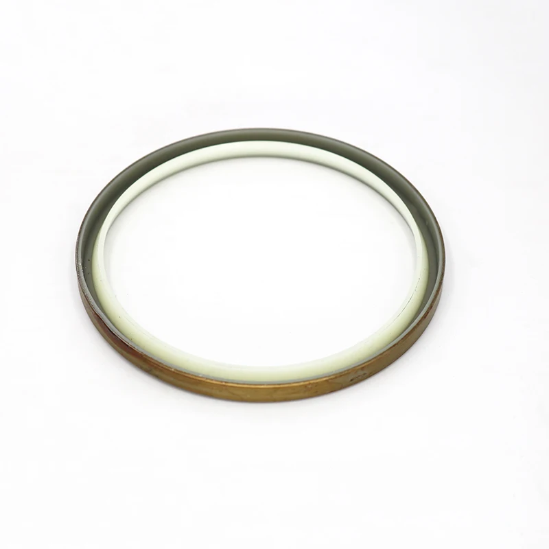 DLI Pin Dust Seal Wiper Seal DLI Oil Seal