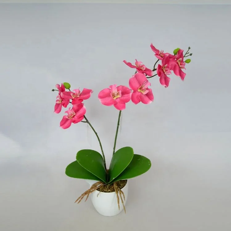 Wholesale garden decoration artificial plastic phalaenopsis orchid plants flowers Bonsai