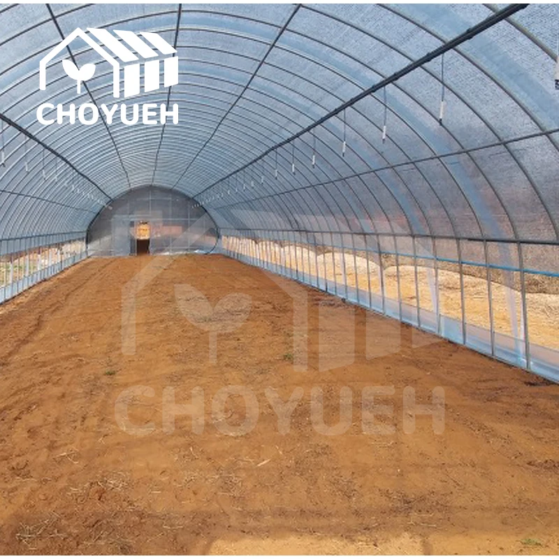 China supplier agricultural greenhouses plastic film tunnel tomato vegetable seeds nursery single-span greenhouse