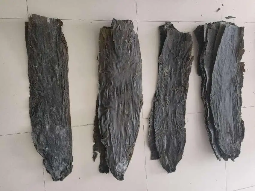 DRIED LAMINARIA JAPONICA DRIED KOMBU SHEET DRIED KELP SHEET