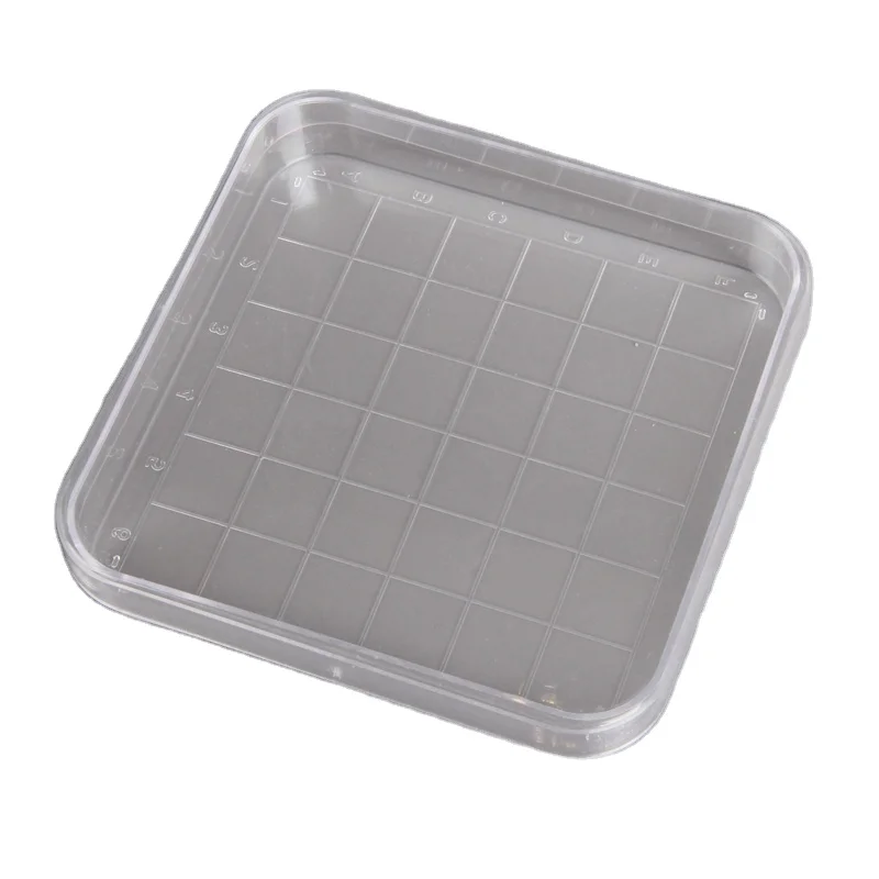 Disposable PS Material EO Sterilized 100*100*15MM Square Shape Counting Area Lab Petri Dish