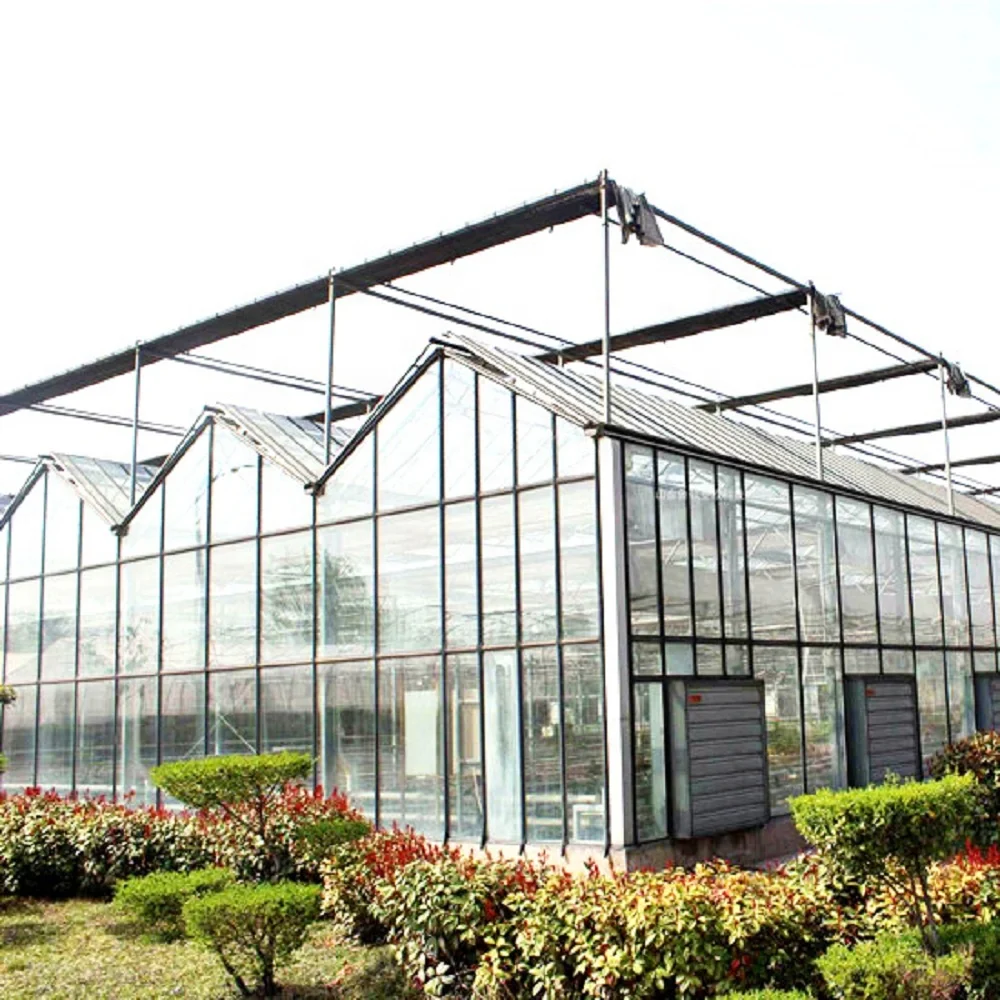 
Multi-span Venlo Glass Solar Greenhouse for Flower Vegetable Fruits Planting 