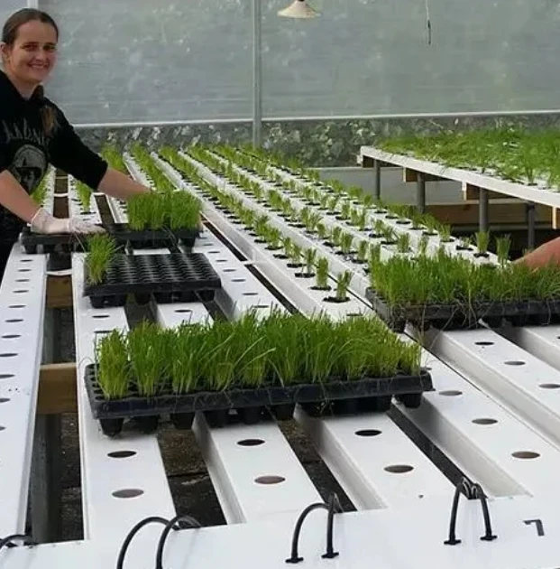 Customized Sizes Hydroponic Tube Square PVC Pipe for Plant Growing Nft System