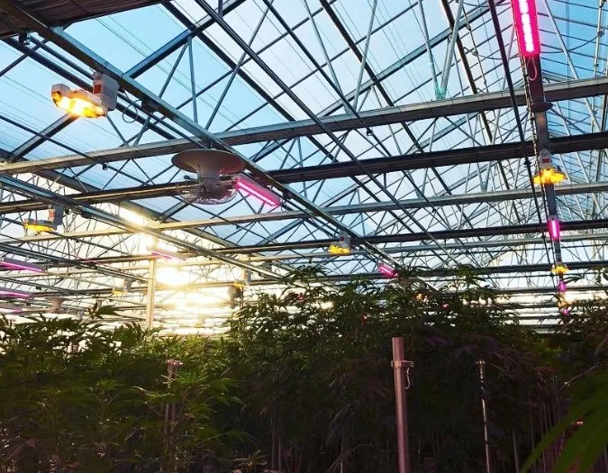 GT Fully Automated Light Deprivation Greenhouses Blackout Green House
