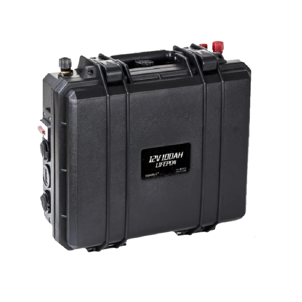 12 В Lifepo4 Аккумуляторный блок 100 Ач перезаряжаемая батарея морской Электрический RV внешний резервный аккумулятор BMS