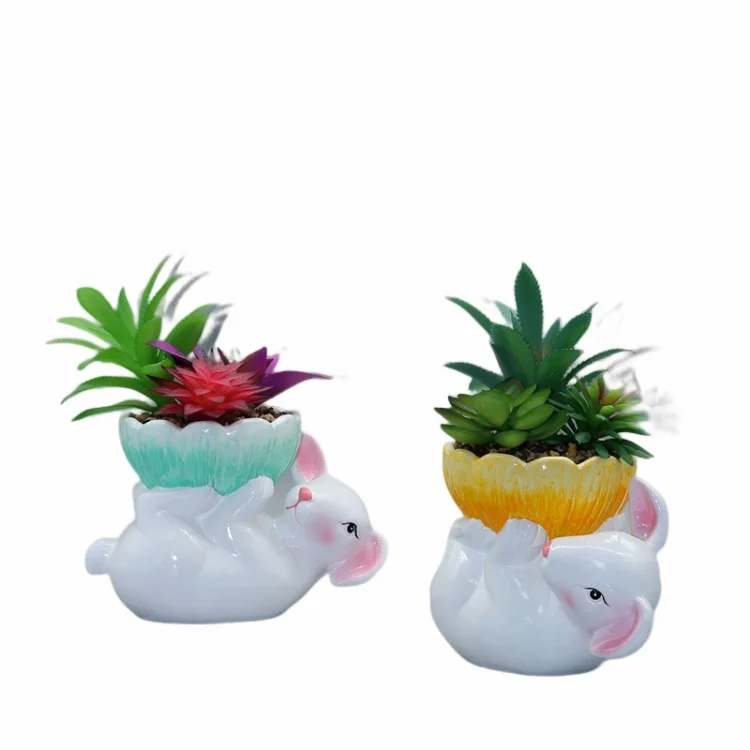 Green Bio Flower 10 Inch Modern White Succulent Ceramic Pot