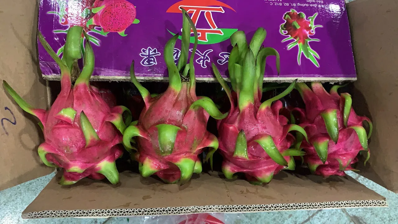 
100% Fresh Dragon Fruit VietNam High Quality Wholesale 
