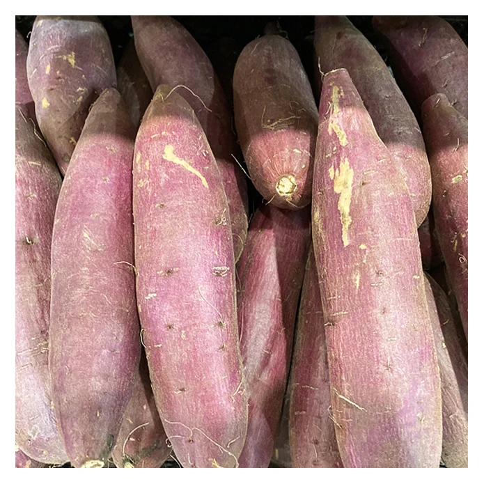 Made in Japan delicious Asian vegetables importers sweet potato price