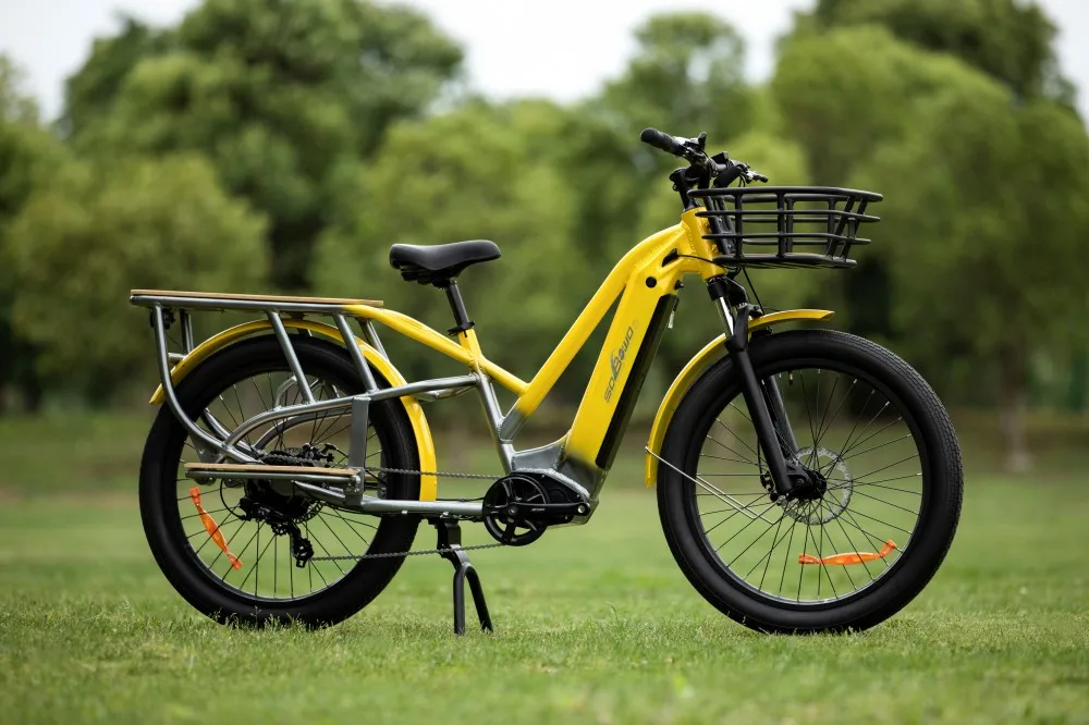 48V750W Brushless Motor ebike e-cargo e bicycle bike bicycle delivery electric bike 2 wheel electric cargo bike