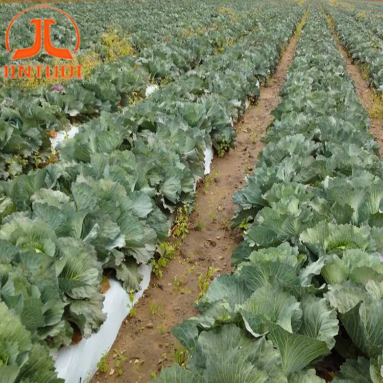 Factory supplier agricultural garden plants use degradable polyethylene film plastic mulch film