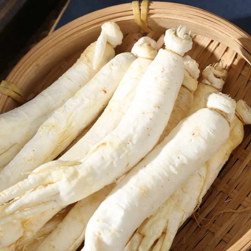 Wholesale Chinese Changbai Mountain  Herb Tea Whole White Ginseng Panax Ginseng Root