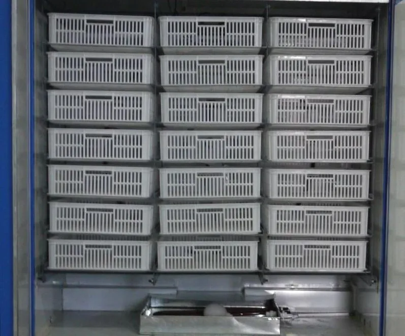 supplier fully automated incubator Chicken Egg Incubator for Hatching Eggs 20-100000 Eggs Capacity