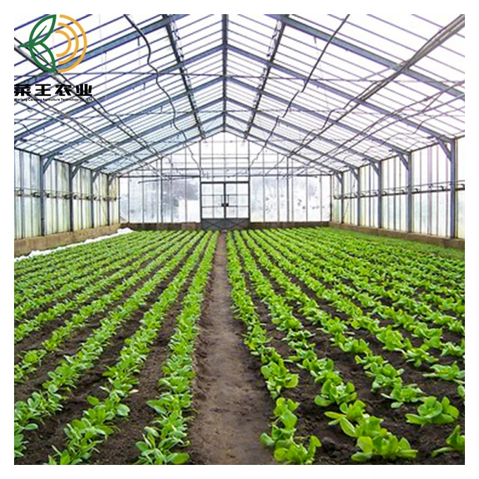 
manufacturer agricultural PC greenhouse multi span Tunnel greenhouses 