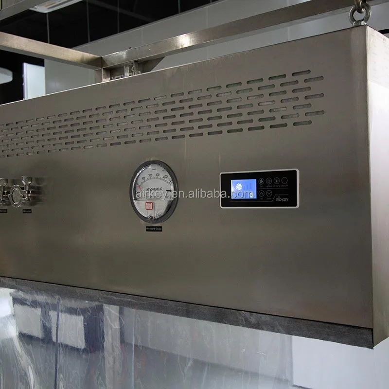 CE ISO Certificate Laminar Air Flow Hood LAF for Industrial with H14 HEPA Filter