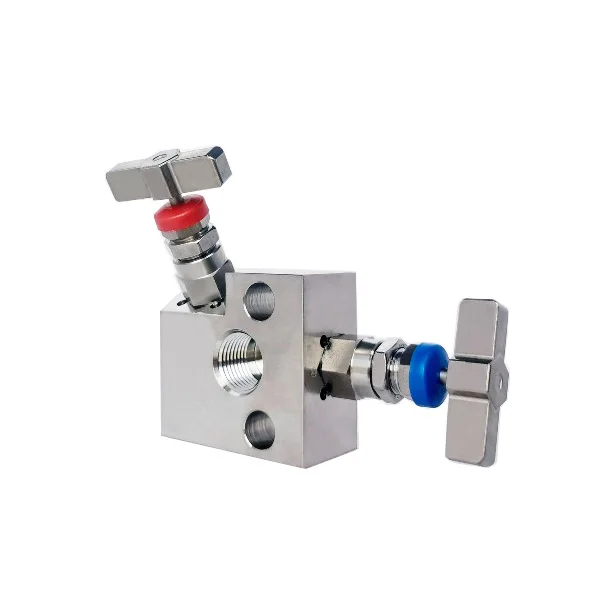 Stainless steel ss316 2-valve manifold two group parker valve integral type needle valve  swagelok pressure transmitter