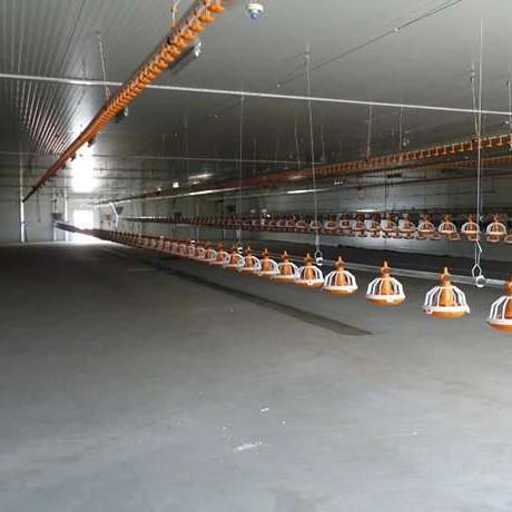 Сборная куриная птицеферма, конструкция здания