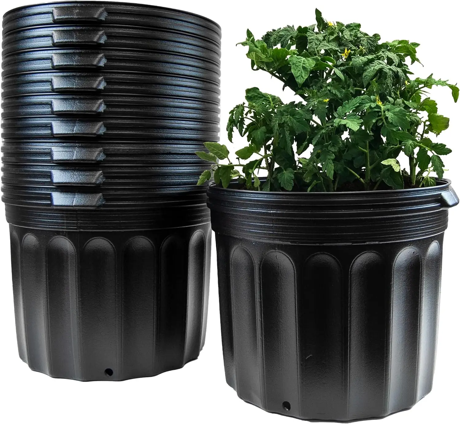 Wholesale 1 3 5 7 10 15 20 Gallon Blow Molding PP PE Planter Black Plastic Plant Nursery Pots