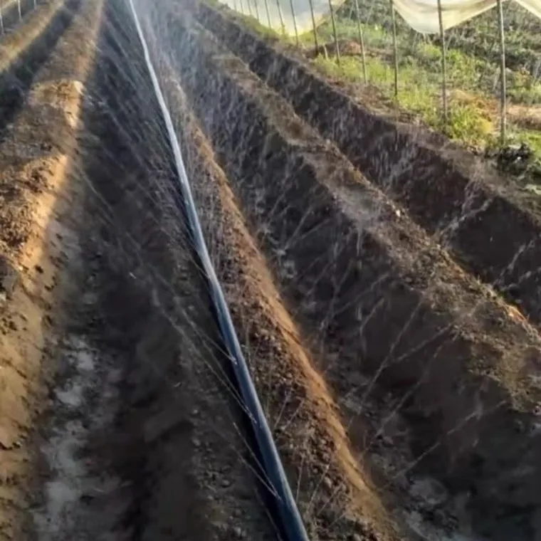 Cheap price Rain tape spray watering system micro spray tape rain hose