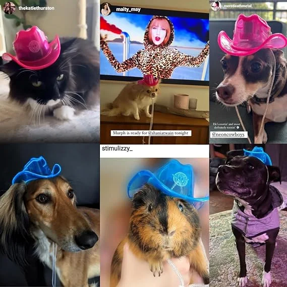 Light Up Flashing EL Wire Sequin Cowboy Hats Glowing LED Fashion Hat Illuminated for Nightlife Rave-Ready Unisex Urban Style