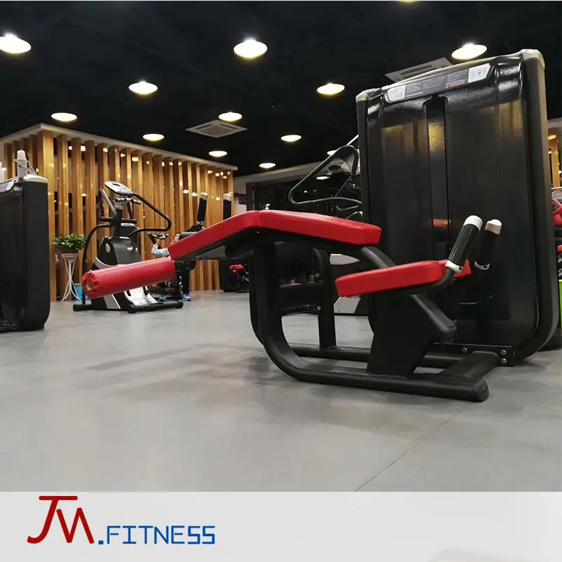 China Dezhou factory direct Dual Fitness Equipment Gym Leg Extension Machine