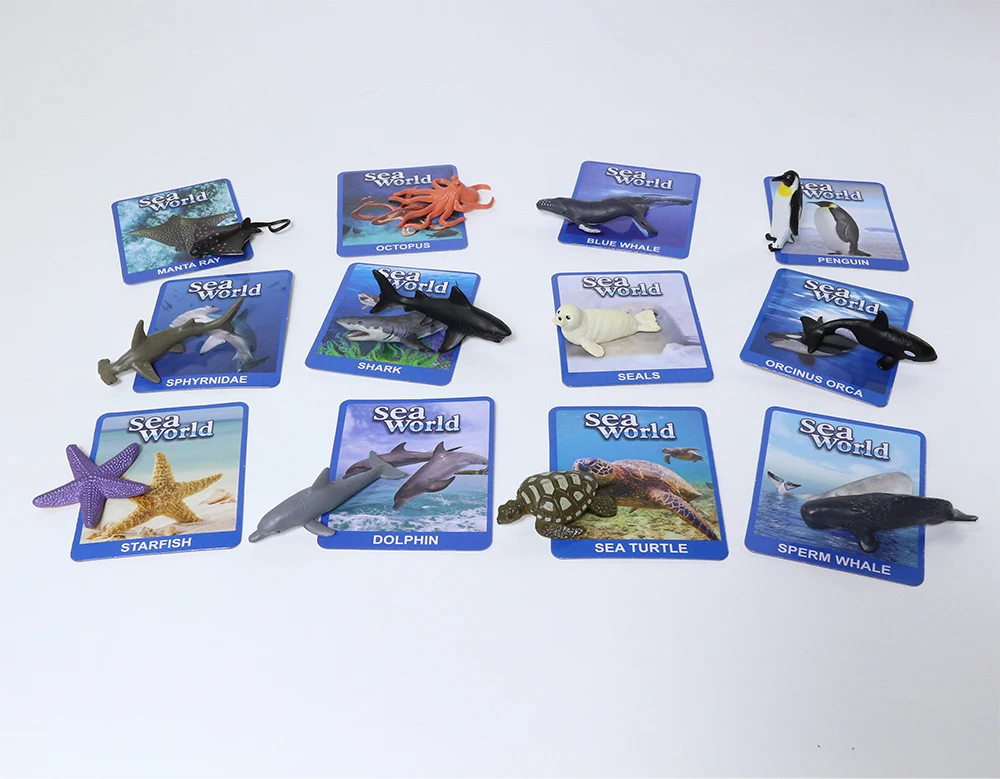 With family name card solid simulation PVC model learning gift early education sea animals toys