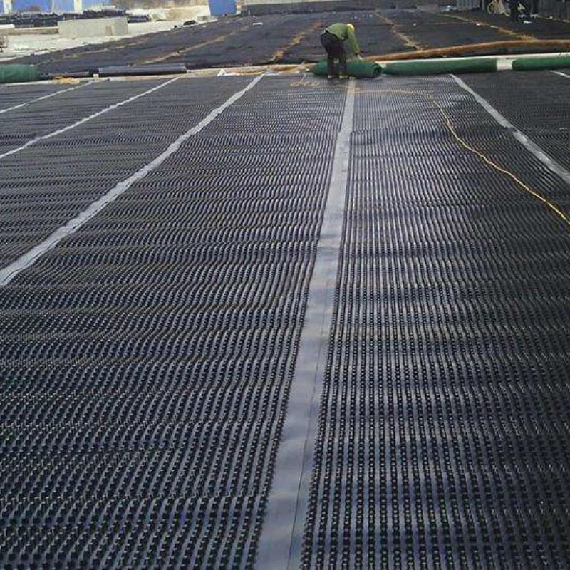 Plastic Drainage Board Dimpled Plastic Drain Sheet For Green Roof System Drainage Board