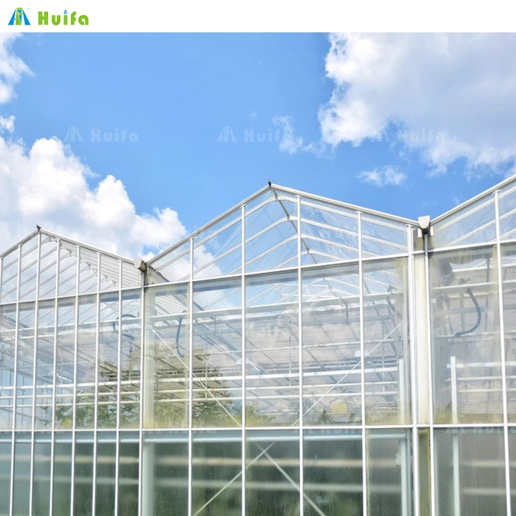 Modern Venlo Glass Nigeria Vegetable Greenhouse Multi-Span Commercial Flowers Green House With Tomato Hydroponic System