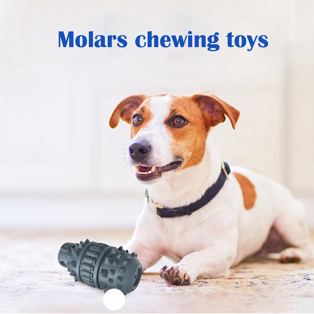 
Flat round squeaky insert cactus dog interactive toy 