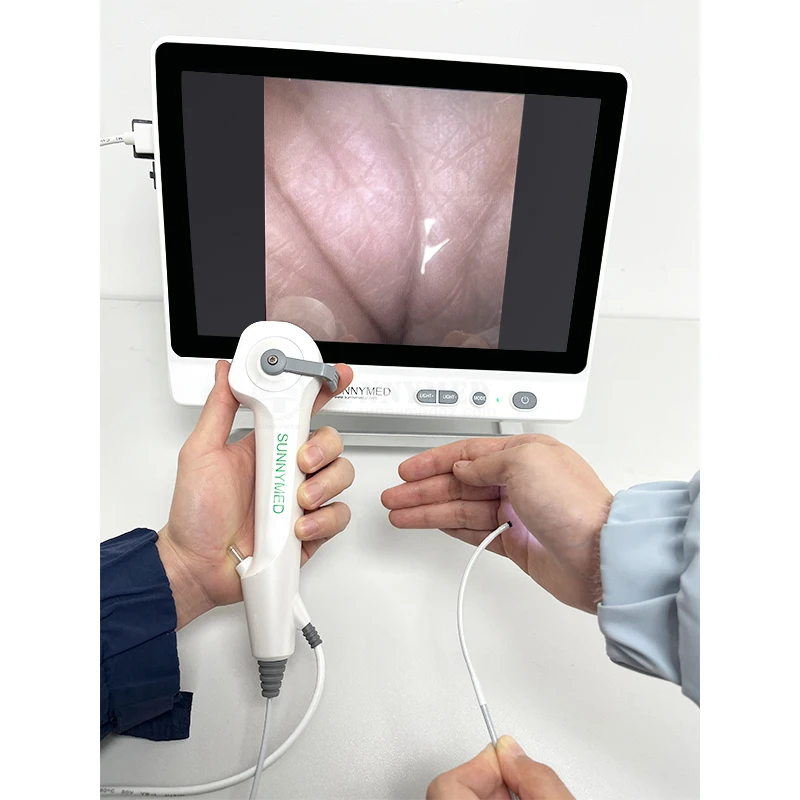 SY-P029-3 Cheap Fetch Foreign Objects Video Endoscope hd Animal Flexible for Pet Hospital