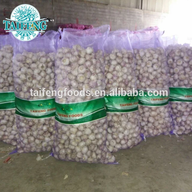 2021 new crop 5.5cm 5kg mesh bag packing pure white garlic
