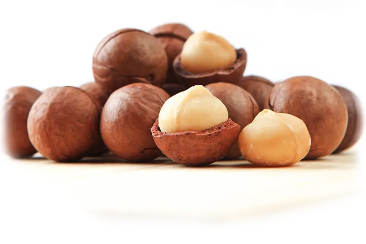 2022 New Crop Retail Bulk Wholesale Raw Cream Flavour Roasted Macadamia Nuts with Shell