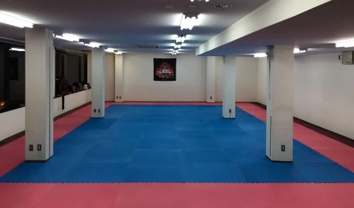 Wholesale martial arts eva judo tatami mat 2023 puzzle mat big taekwondo mats for sale