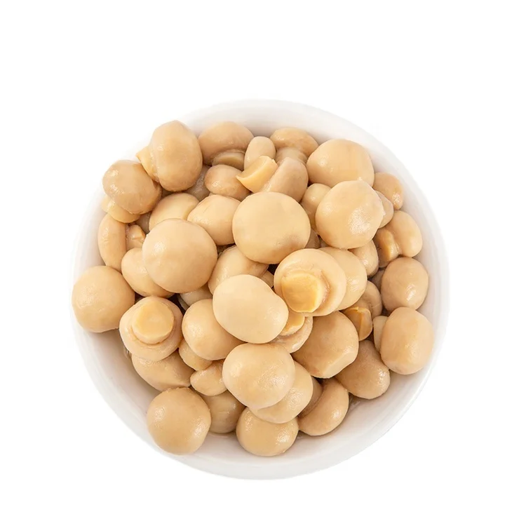 Factory Price Canned Mushroom Whole Mushroom can