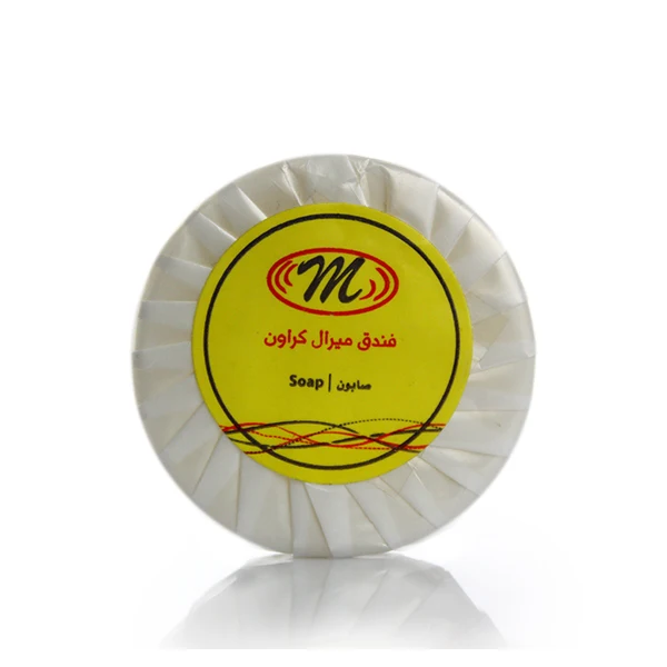 Hotel Shampoo Soap Kits 25g Small Soap Supplier For Hotels