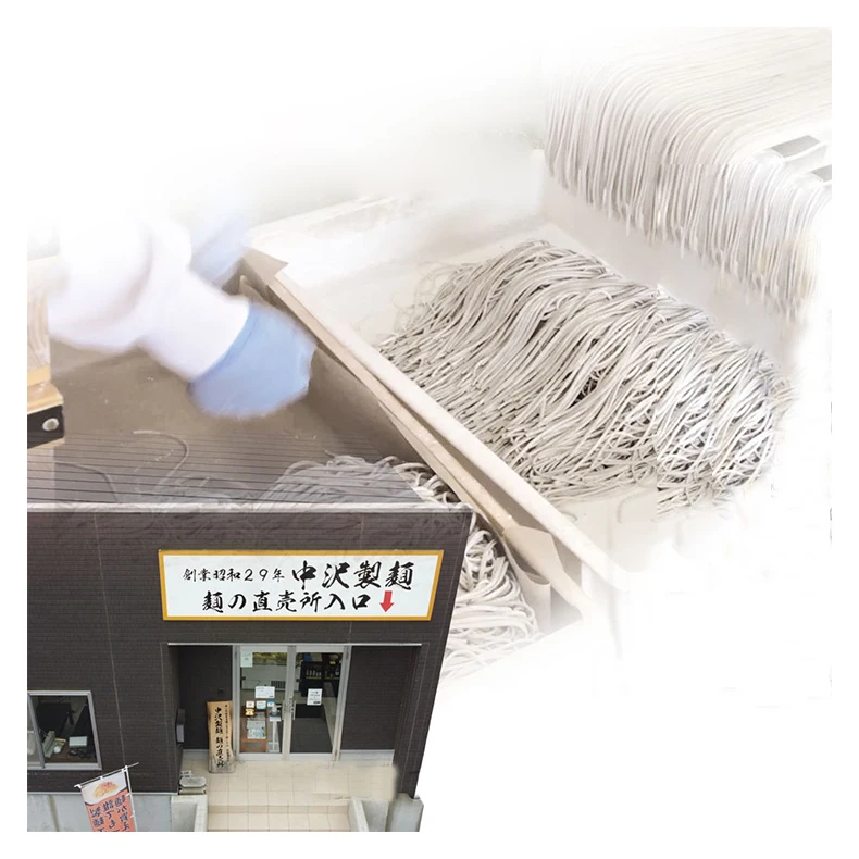 Hot sale Japanese wheat vegetarian instant ramen low carb noodles