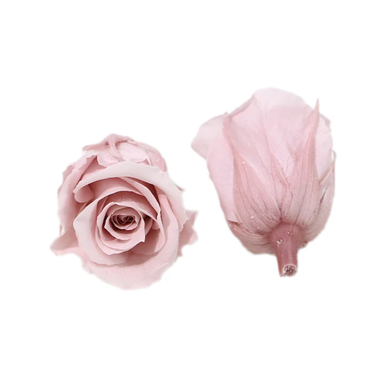 Wholesale 2-3 cm  A Grade Preserved Eternal Multi-Color Rose Buds Flower