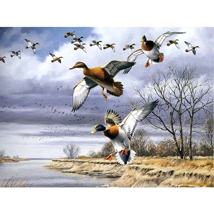 wholesale full square round drill duck Diamond paniting Animals panitings for artwork home decor 5D DIY Diamond Painting