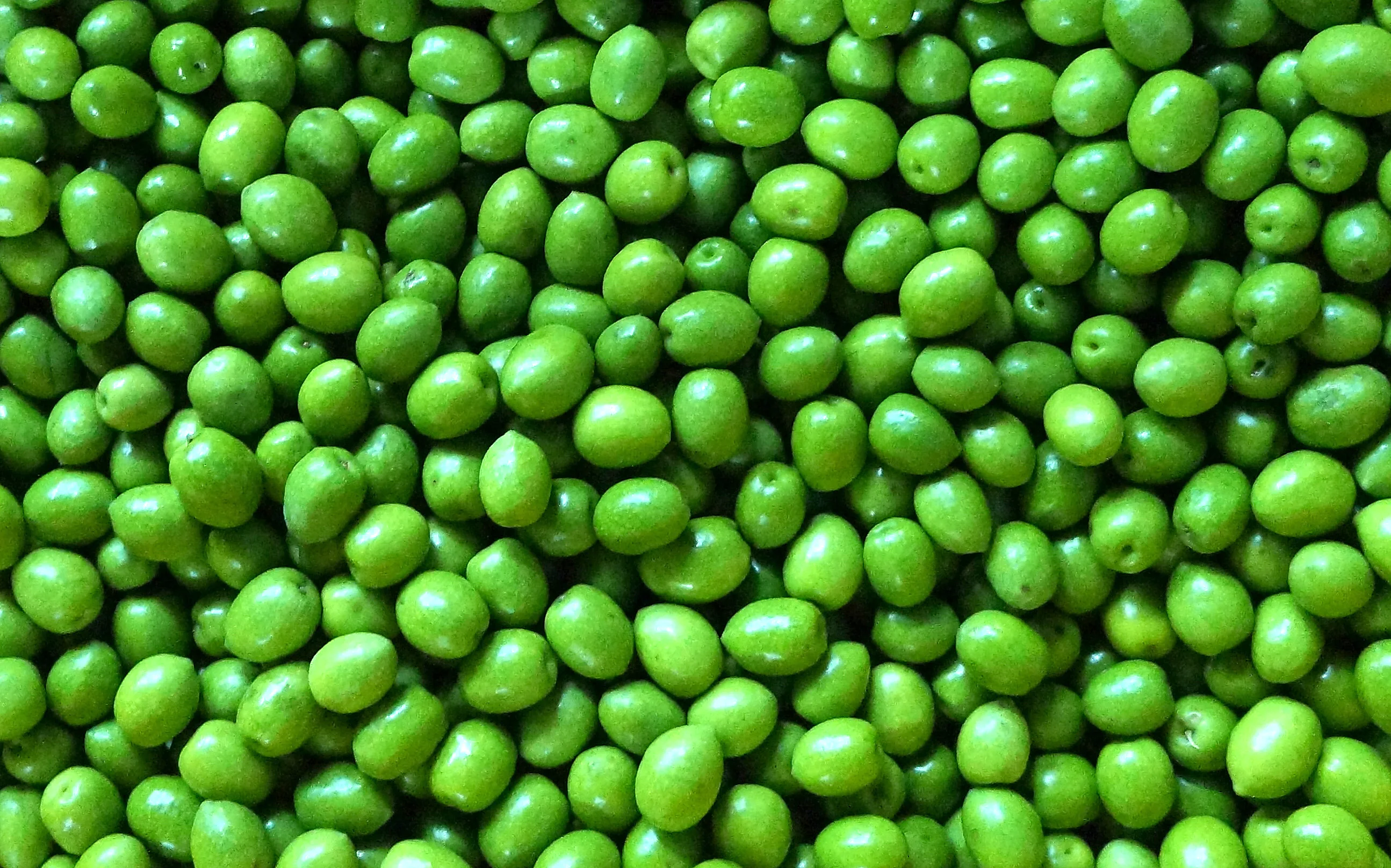  Оптовая продажа из Японии Экстра натуральное оливковое растительное масло для приготовления пищи поставщики
