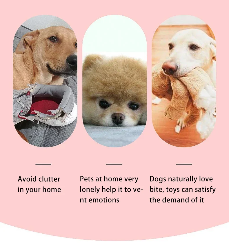 rope dog toy chewing