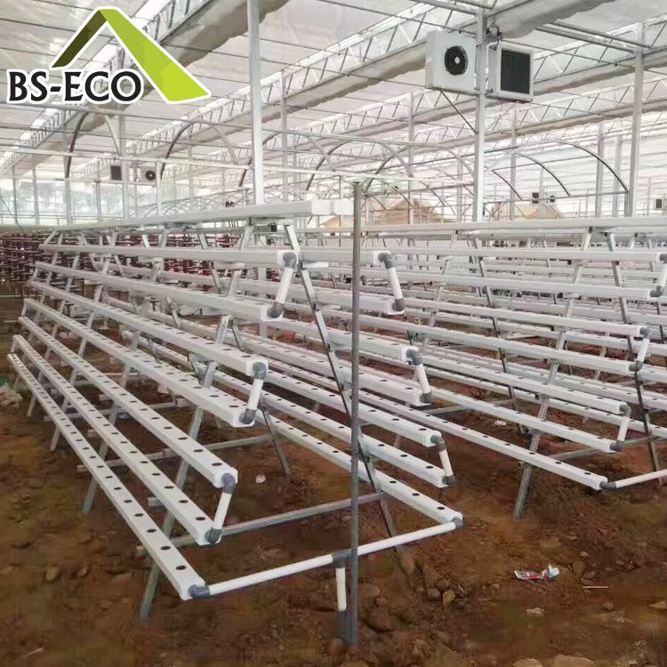 
Low Cost NFT Hydroponics PVC Channel for Hydroponic Growing System 