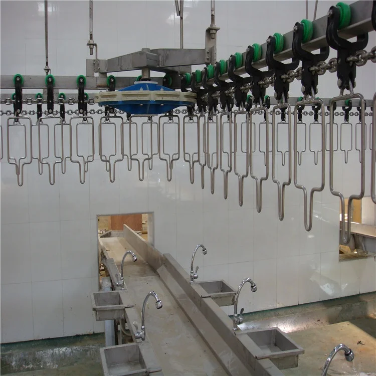 Halal chicken slaughter processing line for Muslim slaughterhouse