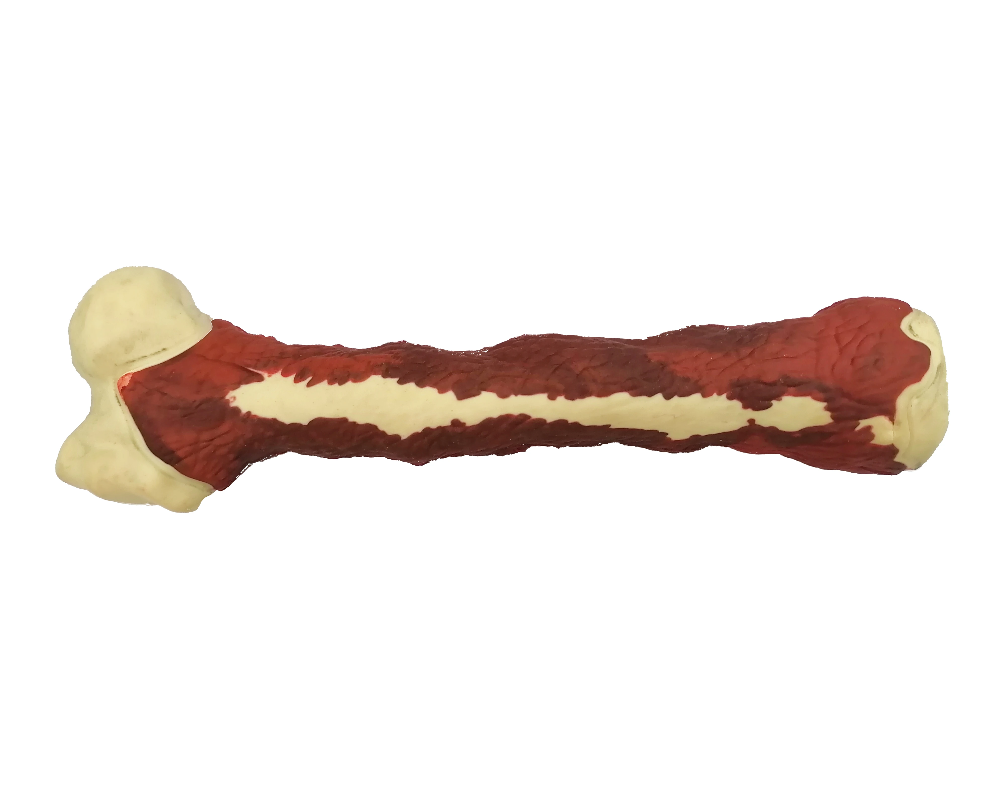 sustainable double color rubber hard bone for adult dog chew toy