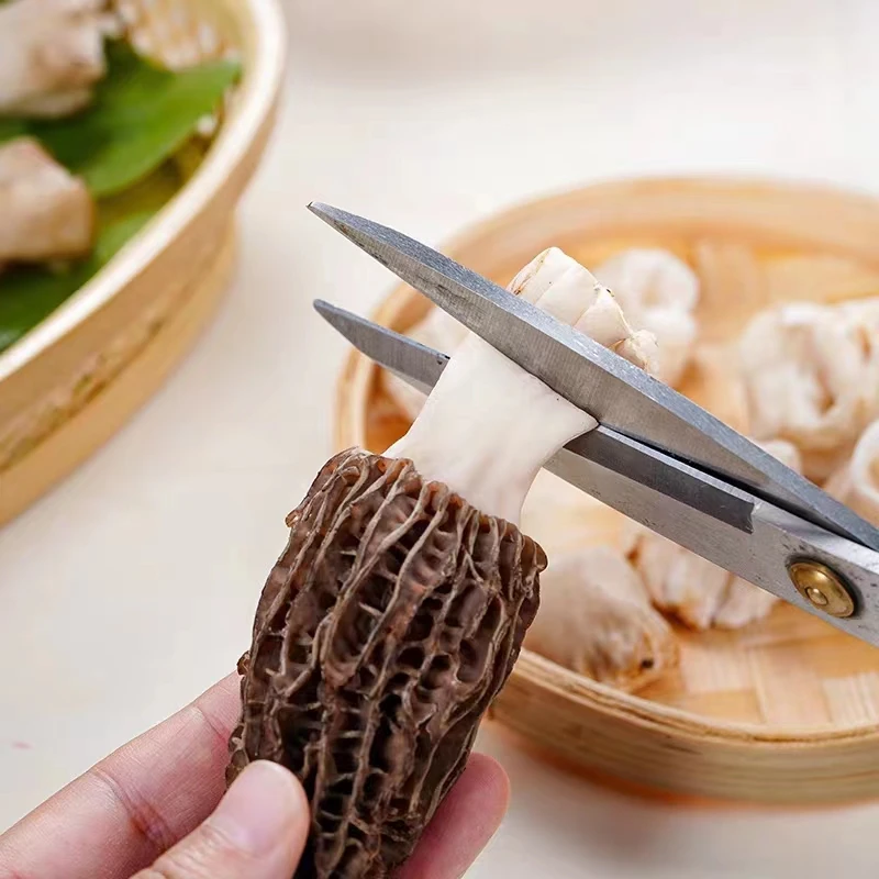 China Export 100% original yunnan Wild Moral Mushroom