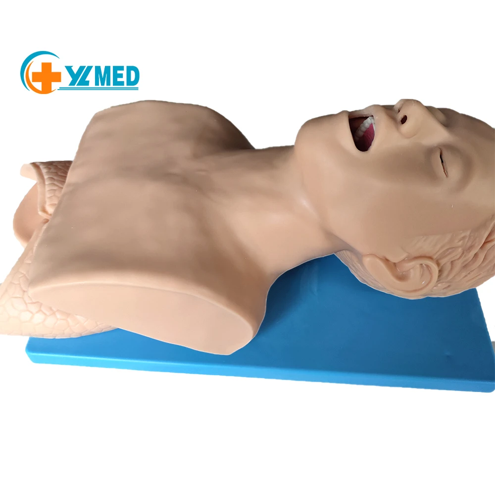 The anatomical model was used to train the tracheal intubation model in the tracheal intubation training simulator laboratory