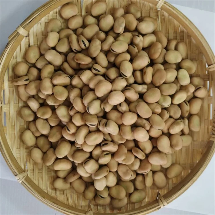 
High Quality Broad Bean Dried Fava Bean For Sale 