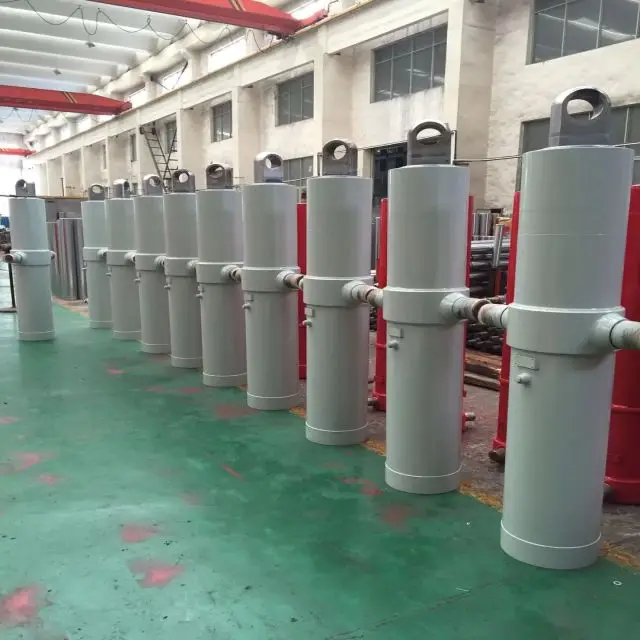 Water Conservancy Customized 3000 Mm Stroke Telescopic Hollow Plunger Hydraulic Cylinder